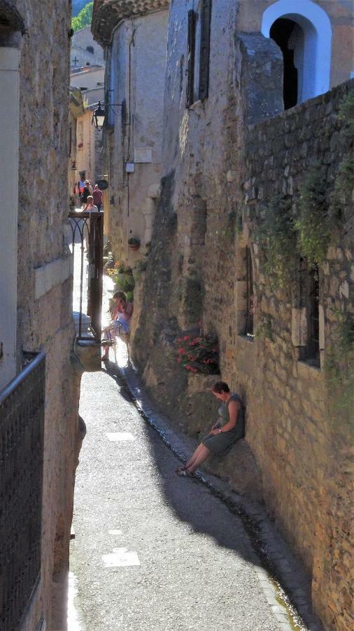 Les Studios De St Guilhem Saint-Guilhem-le-Desert Exterior photo